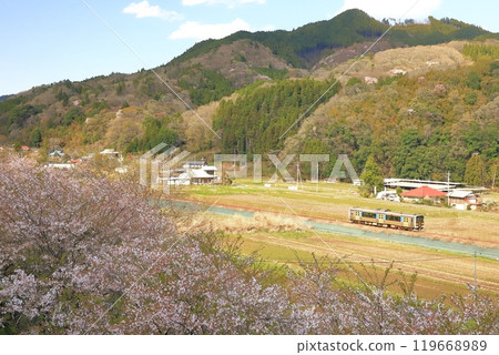 Suigun Line "A train running through the scenery along the mountainside where cherry blossoms bloom" Suigun Line "A train running through the scenery along the mountainside where cherry blossoms bloom" 119668989