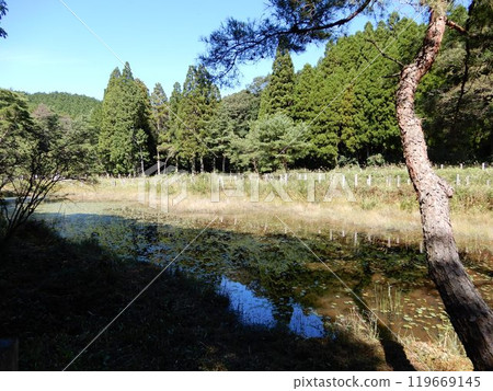 Kashihara Mire Kashihara Mire 119669145