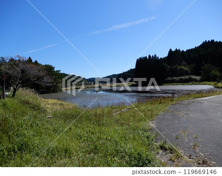 Kashihara Mire Kashihara Mire 119669146