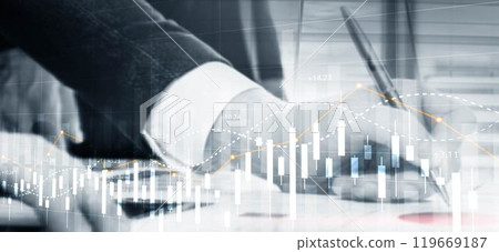 Financial Stock Market Graph. Website Economic Banner 119669187