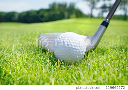Golf club and ball 119669272