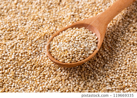 Quinoa 119669335