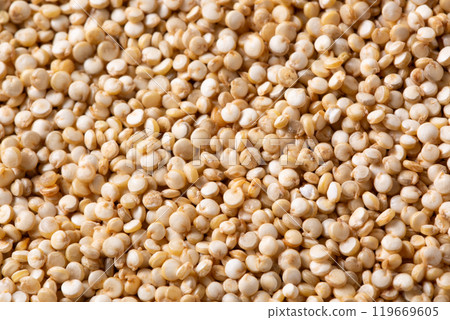 Quinoa Quinoa 119669605