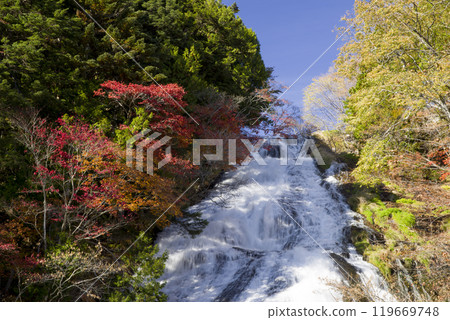 Roaring in late autumn 119669748