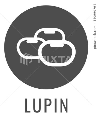 Lupin Bean Legume Food Icon Concept 119669761