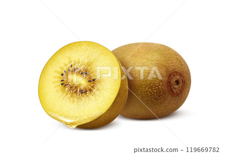 Gold kiwi illustration realistic white background 119669782