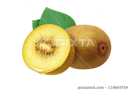 金獼猴桃圖現實白色背景 119669784