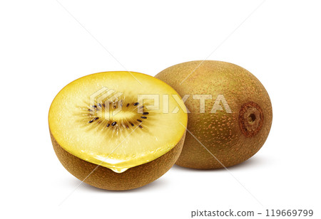 Gold kiwi illustration realistic white background 119669799