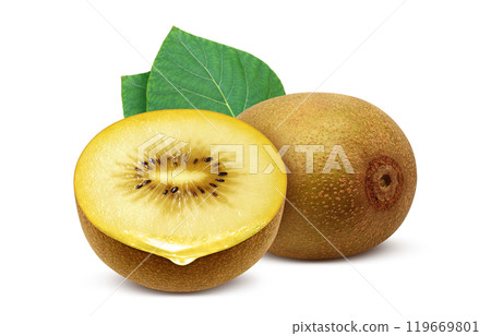 Gold kiwi illustration realistic white background 119669801