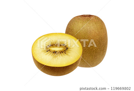Gold kiwi illustration realistic white background Gold kiwi illustration realistic white background 119669802