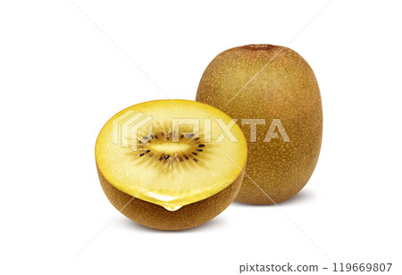 Gold kiwi illustration realistic white background 119669807