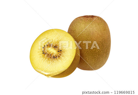 Gold kiwi illustration realistic white background 119669815