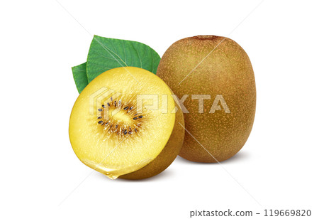 Gold kiwi illustration realistic white background 119669820