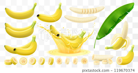 Fresh tropical banana isolated on transparent background. Whole banana, slice in half and bunch of bananas. Peeled and slice cut for organic juice or dessert package. Realistic 3d vector illustration. 119670374