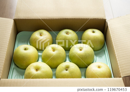 Tottori Prefecture's specialty autumn taste 20th century pear Tottori Prefecture's specialty autumn taste 20th century pear 119670453