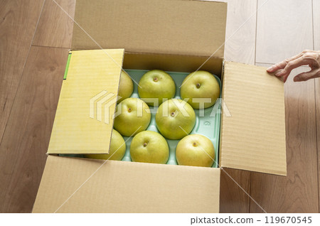 The sent pear 119670545