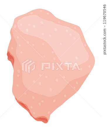 An educational illustration showcasing the cut and part of raw chicken meat 119670546