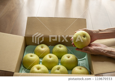 The sent pear 119670553