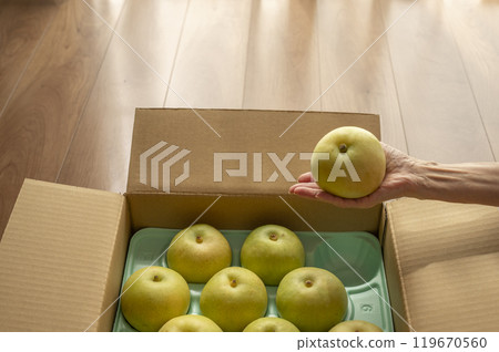 The sent pear 119670560