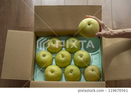 The sent pear 119670561