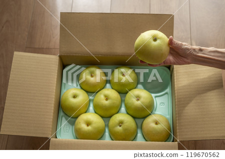 The sent pear 119670562