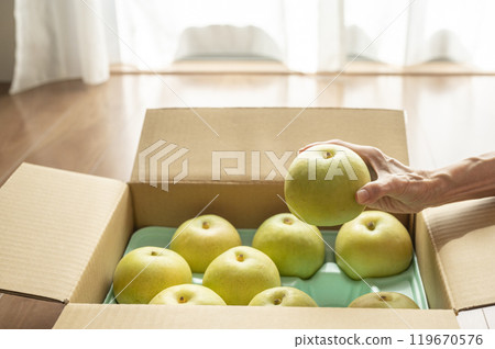 The sent pear 119670576