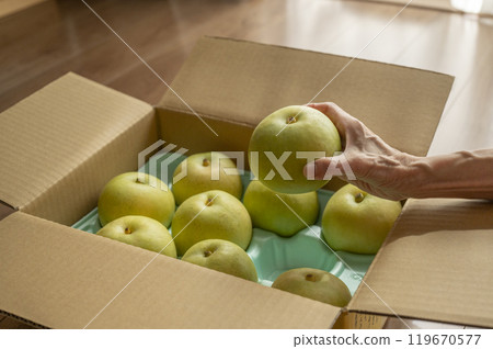 The sent pear The sent pear 119670577