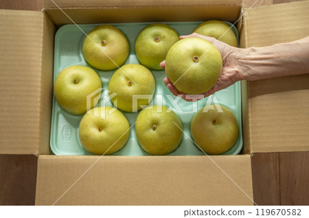 The sent pear The sent pear 119670582