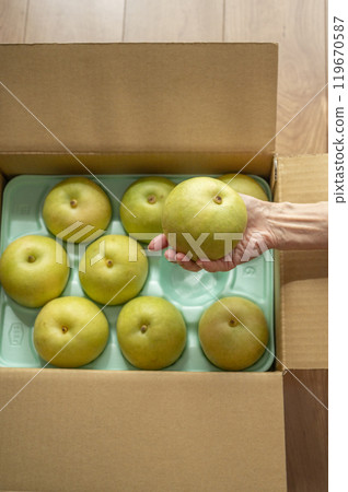 The sent pear The sent pear 119670587
