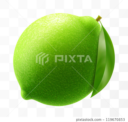 Green ripe raw lime isolated on transparent background. Whole lime with a leaf, vibrant tropical plant, its textured shiny skin concealing zesty citric pulp within. Realistic 3d vector illustration. Green ripe raw lime isolated on transparent background. Whole lime with a leaf, vibrant tropical plant, its textured shiny skin concealing zesty citric pulp within. Realistic 3d vector illustration. 119670853