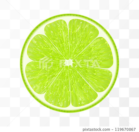 Slice of lime fruit, isolated on transparent background. Vibrant tropical plant, exude freshness and zesty burst, promising a tangy flavor in every piece. Realistic 3d vector illustration. Slice of lime fruit, isolated on transparent background. Vibrant tropical plant, exude freshness and zesty burst, promising a tangy flavor in every piece. Realistic 3d vector illustration. 119670867