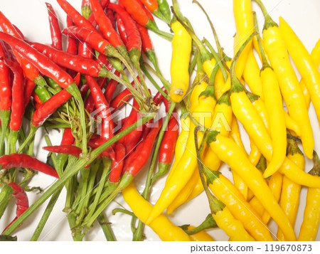  紅辣椒 119670873