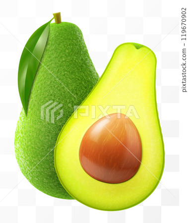 Fresh fruit avocado isolated on transparent background. Whole and halved avocado with bone. Green avocado for healthy eating. Realistic 3d vector illustration. 119670902