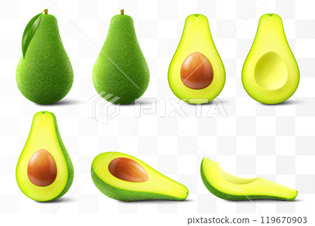 Fresh fruit avocado isolated on transparent background. Whole, slices and halved avocado with bone. Green avocado for healthy eating. Realistic 3d vector illustration. Fresh fruit avocado isolated on transparent background. Whole, slices and halved avocado with bone. Green avocado for healthy eating. Realistic 3d vector illustration. 119670903