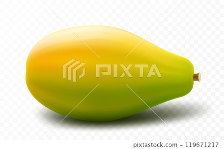 Ripe Papaya, whole juicy fruit papaya, isolated on transparent background. Tropical, exotic fruit. Realistic 3d vector illustration. 119671217