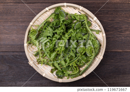 Brassica napus on a colander Brassica napus on a colander 119671667