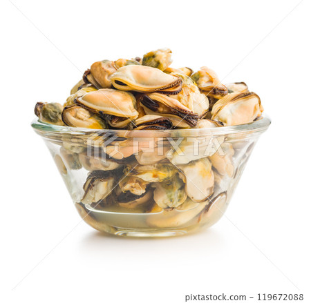 Shelled mussels meat in bowl isolated on white background. Shelled mussels meat in bowl isolated on white background. 119672088