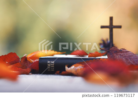 Red maple leaves and autumn fallen leaves, holy cross of Jesus Christ and bible, thanksgiving background Red maple leaves and autumn fallen leaves, holy cross of Jesus Christ and bible, thanksgiving background 119673117