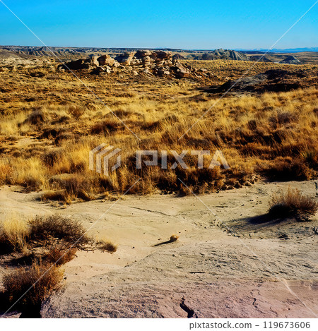 Bleak Landscape Petrified Forest National Park Arizona on Film Bleak Landscape Petrified Forest National Park Arizona on Film 119673606