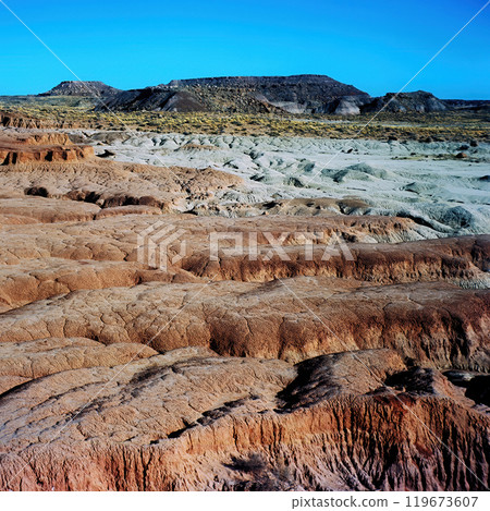 Bleak Landscape Petrified Forest National Park Arizona on Film 119673607