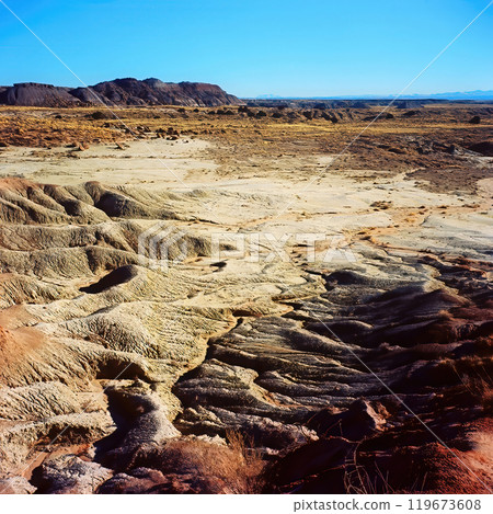 Bleak Landscape Petrified Forest National Park Arizona on Film 119673608