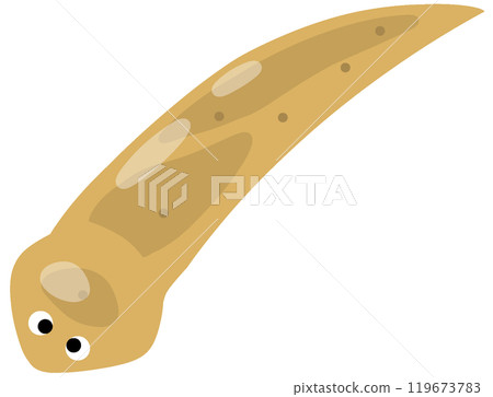 Plantain Plantain 119673783