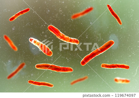 Mycobacterium tuberculosis bacteria, 3D illustration 119674097