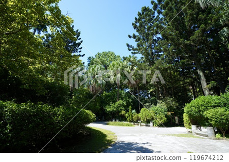 台北植物園（台灣台北） 119674212