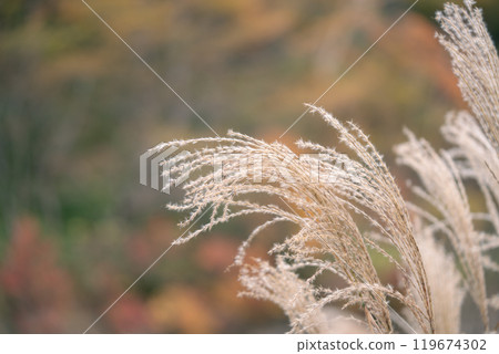 A driving trip around Oku-Nikko A driving trip around Oku-Nikko 119674302
