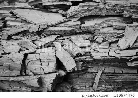 A rotten piece of wood 119674476