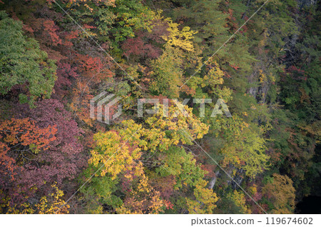 A driving trip around Oku-Nikko (Kawamata Dam) 119674602