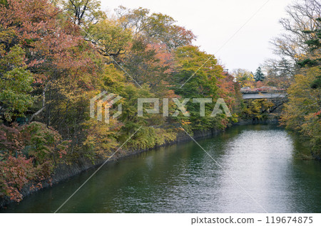 A driving trip around Oku-Nikko (Lake Chuzenji) 119674875