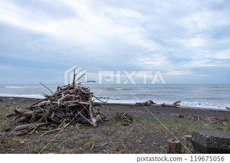 漂流木被沖上岸的海邊風景 119675056