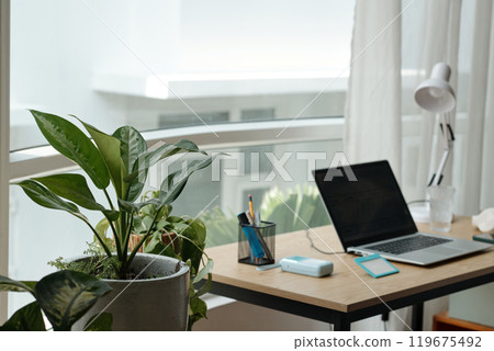 Modern Workspace Featuring Laptop and Plant on Desk Modern Workspace Featuring Laptop and Plant on Desk 119675492